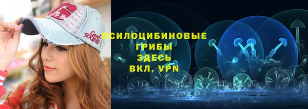 эйфоретик Балахна