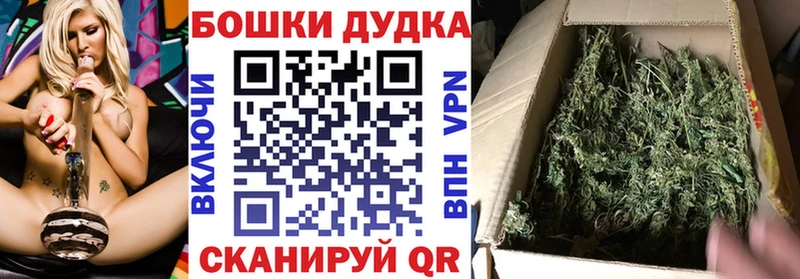 дарнет шоп  мориарти клад  Шишки марихуана SATIVA & INDICA  Вичуга 